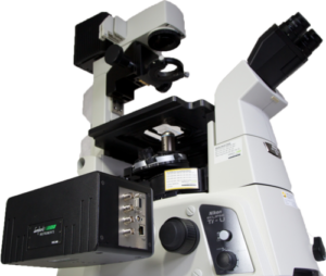 Fluorescence Microscopy Cameras